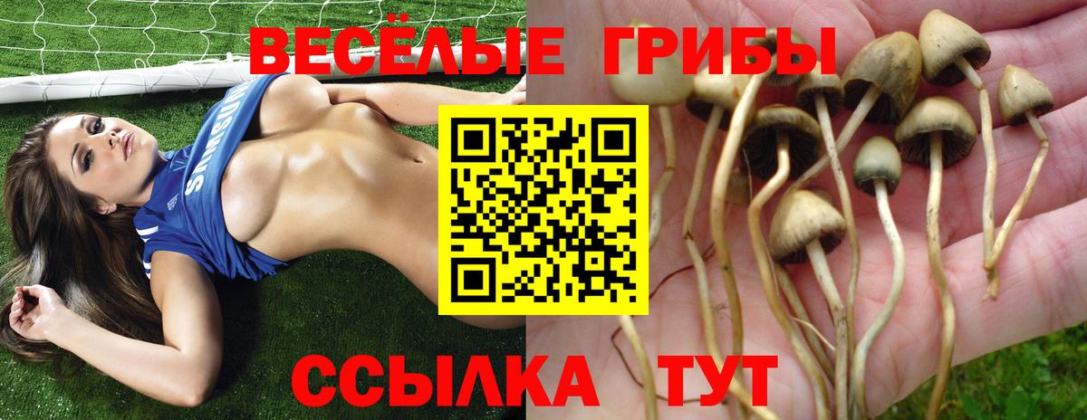Галлюциногенные грибы MAGIC MUSHROOMS Горно-Алтайск